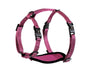 Alcott Adventure Adjustable Dog Harness, Pink