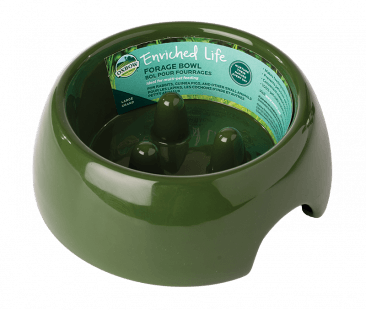Oxbow Enriched Life Forage Small Pet Bowl