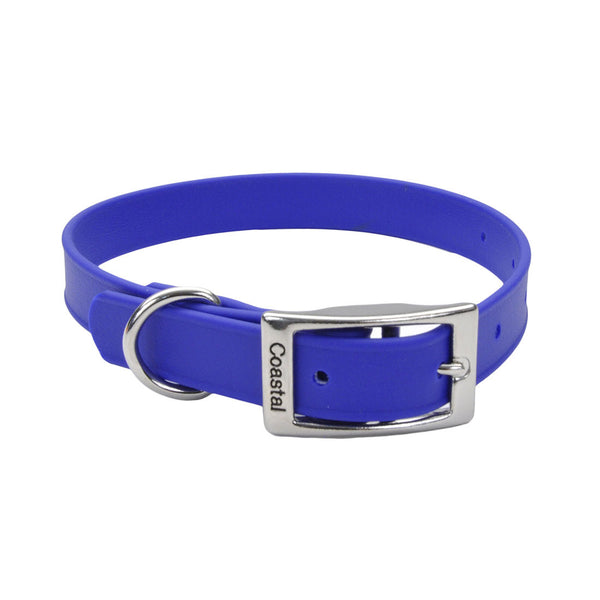 Pro Collier de chien étanche, Bleu