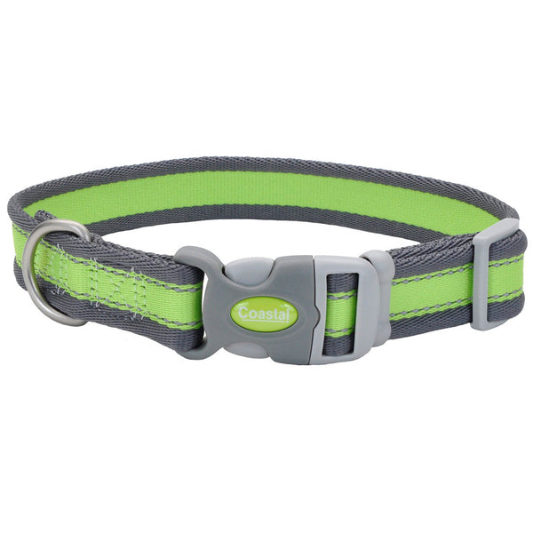 Pro Reflective Adjustable Dog Collar, Bright Green with Grey