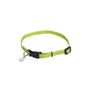 Li'l Pals Collier réglable pour chien, Citron vert