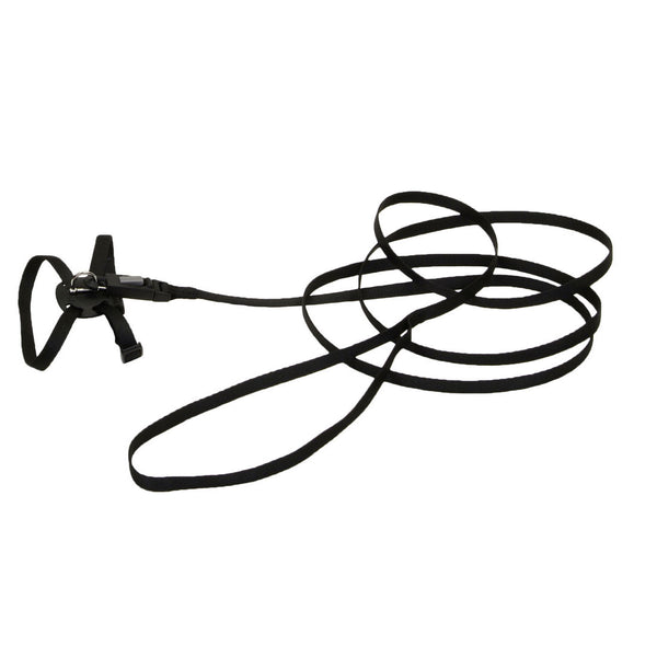 Li'l Pals Adjustable Kitten Harness and Leash Combo, Black, 3/8-inx6-10-in