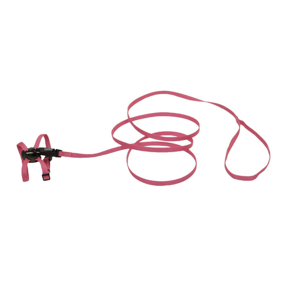Li'l Pals Adjustable Kitten Harness and Leash Combo, Neon Pink, 3/8-inx6-10-in