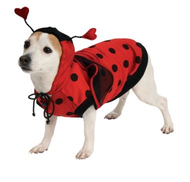 Rubie's Lady Bug Pet Costume