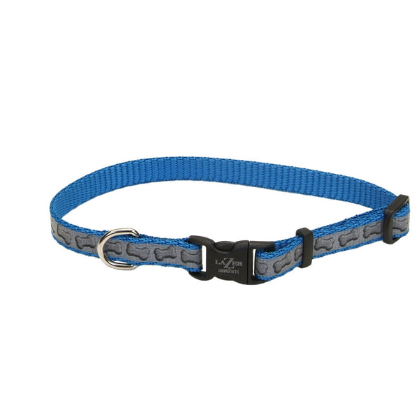 Lazer Brite Reflective Adjustable Dog Collar, Turquoise Bones