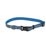 Lazer Brite Reflective Adjustable Dog Collar, Turquoise Bones