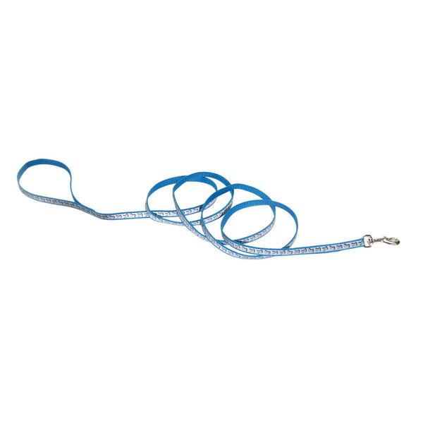 Lazer Brite Reflective Dog Leash, Turquoise Bones