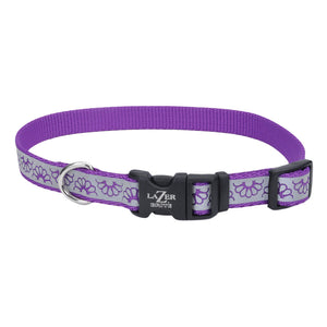 Lazer Brite Reflective Open-Design Adjustable Collar, Purple Daisy