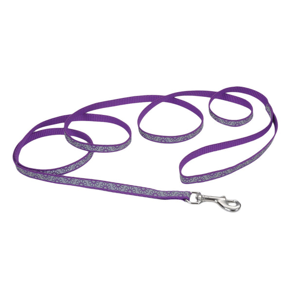 Lazer Brite Reflective Open-Design Dog Leash, Purple Daisy