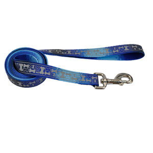 Lazer Brite Patterned Dog Leash, Blue Bones