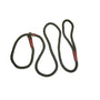 Remington Braided Rope Slip Dog Leash, Green