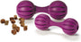 PetSafe Busy Buddy Waggle Dog Toy