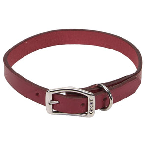Collier pour chien Circle T en cuir tanné au chêne, rouge