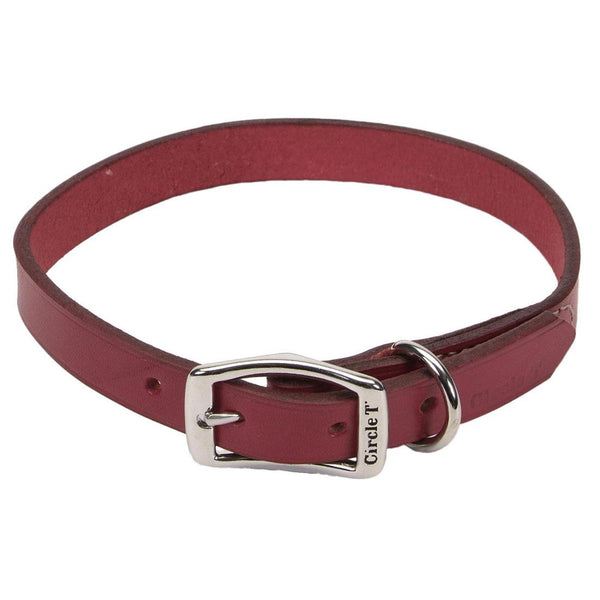 Circle T Oak Tanned Leather Town Dog Collar, Red