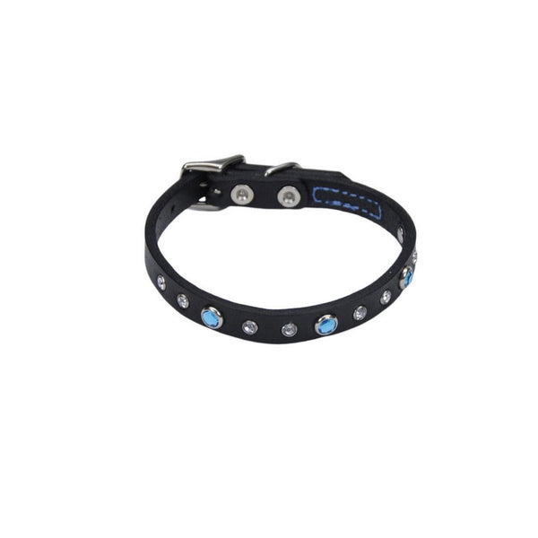 Circle T Fashion Leather with Jewels Dog Collar, Blue