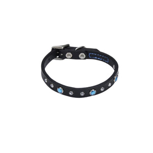 Circle T Fashion Leather with Jewels Dog Collar, Blue