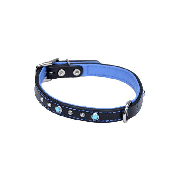 Circle T Fashion Leather with Jewels Dog Collar, Blue