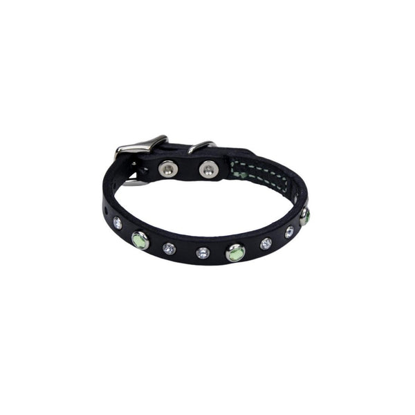 Circle T Fashion Leather with Jewels Dog Collar, Green