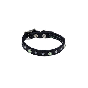 Circle T Fashion Leather with Jewels Dog Collar, Green