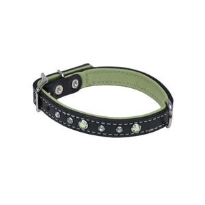 Circle T Fashion Leather with Jewels Dog Collar, Green