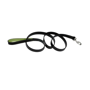 Circle T Fashion Leather Padded Handle Dog Leash, Green