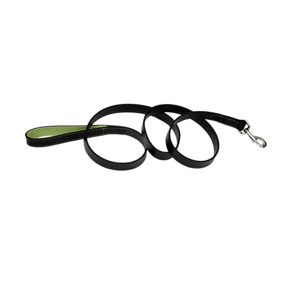 Circle T Fashion Leather Padded Handle Dog Leash, Green
