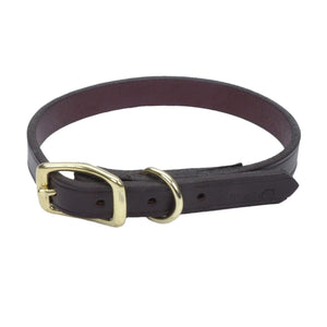Circle T Latigo Leather Town with Solid Brass Hardware Dog Collar