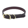 Circle T Latigo Leather Town with Solid Brass Hardware Dog Collar
