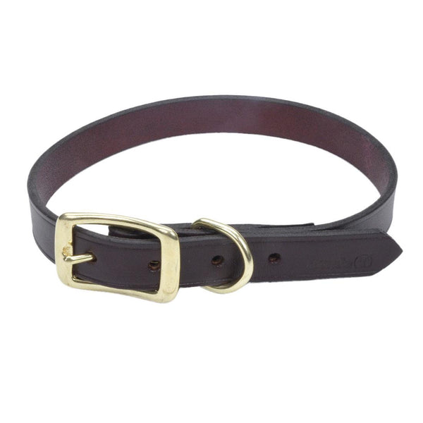 Circle T Latigo Leather Town with Solid Brass Hardware Dog Collar