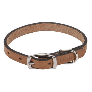 Circle T Oak Tanned Leather Town Dog Collar, Tan