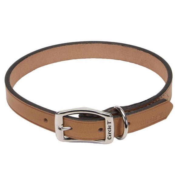 Circle T Oak Tanned Leather Town Dog Collar, Tan