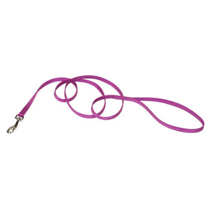Coastal Single-Ply Dog Leash, Orchid