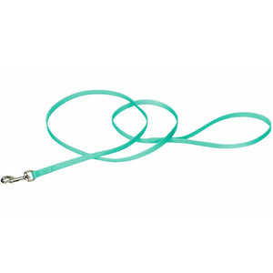 Coastal Single-Ply Dog Leash, Teal