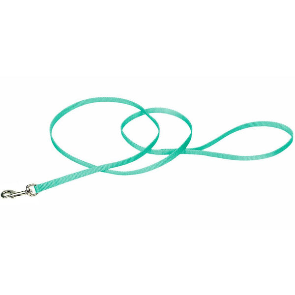Coastal Single-Ply Dog Leash, Teal