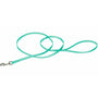 Coastal Single-Ply Dog Leash, Teal