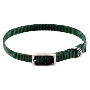 Coastal Single-Ply Dog Collar, Hunter