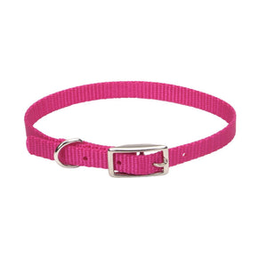 Coastal Single-Ply Dog Collar, Pink Flamingo