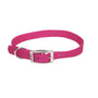 Coastal Single-Ply Dog Collar, Pink Flamingo
