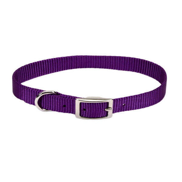 Coastal Single-Ply Dog Collar, Purple