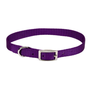 Coastal Single-Ply Dog Collar, Purple