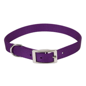 Coastal Single-Ply Dog Collar, Purple
