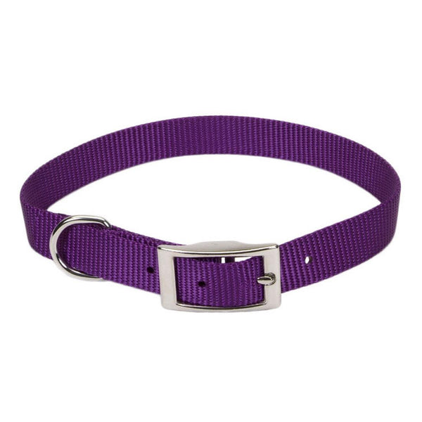 Coastal Single-Ply Dog Collar, Purple