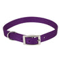 Coastal Single-Ply Dog Collar, Purple