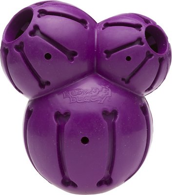 PetSafe Busy Buddy Barnacle Dog Toy