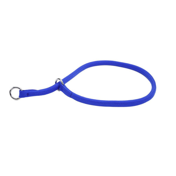 Coastal Collier d'entraînement rond en nylon pour chien, Bleu