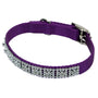Coastal Jeweled Dog Collar, Purple
