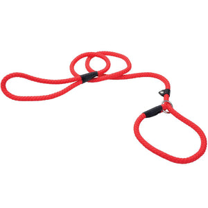 Coastal Rope Slip Dog Leash, Red