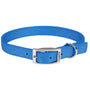 Coastal Double-Ply Dog Collar, Blue Lagoon