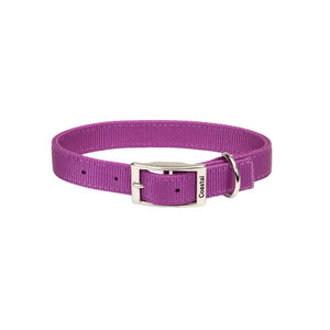 Coastal Double-Ply Dog Collar, Orchid
