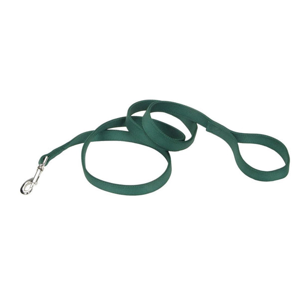 Coastal Double-Ply Dog Leash, Hunter